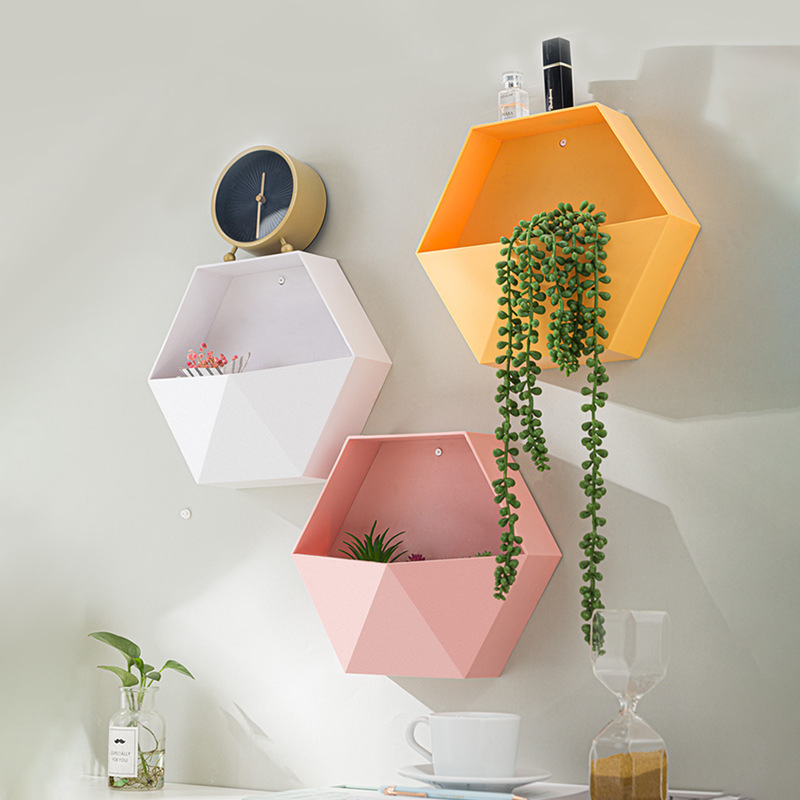Plastic Hexagonal Wall Mounted  Storage Box